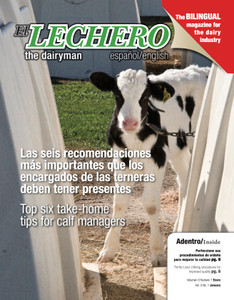 El Lechero - January 2008