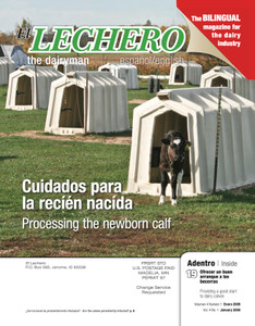 El Lechero - January 2009