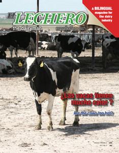 El Lechero - July 2007