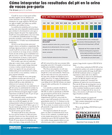 Cómo interpretar los resultados del pH en la orina de vacas pre-parto