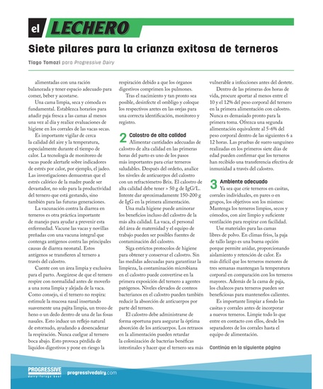 Siete pilares para la crianza exitosa de terneros