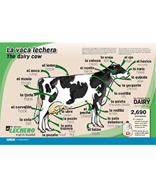 La vaca lechera