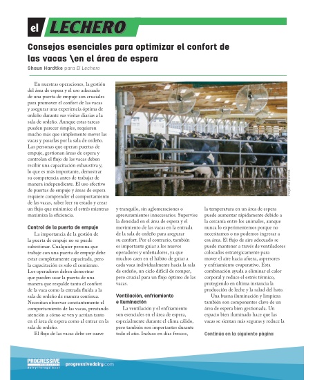 Consejos esenciales para optimizar el confort de las vacas \en el área de espera