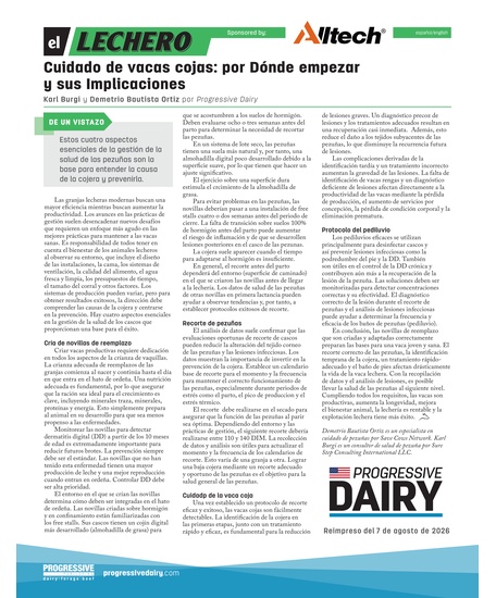 Cuidado de vacas cojas: por Dónde empezar y sus Implicaciones