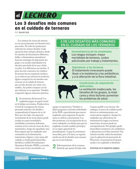 Los 3 desafíos más comunes en el cuidado de terneras